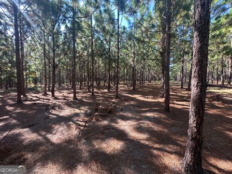 Unimproved Land in Sylvania GA 0 Dickey Road.jpg
