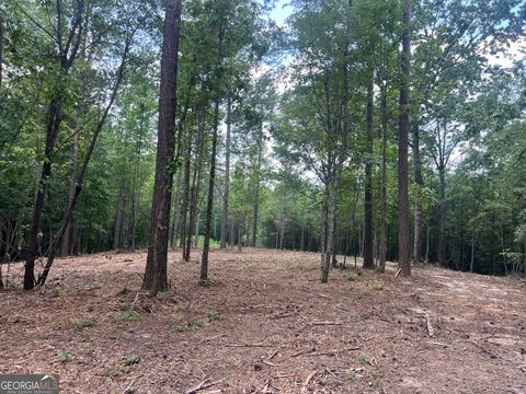 Agriculture in Roopville GA LOT 3 Gum Creek Airport Road #3.jpg