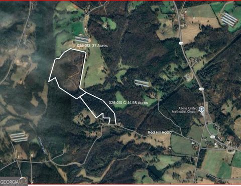 Unimproved Land in Carnesville GA 0 Red Hill Road.jpg