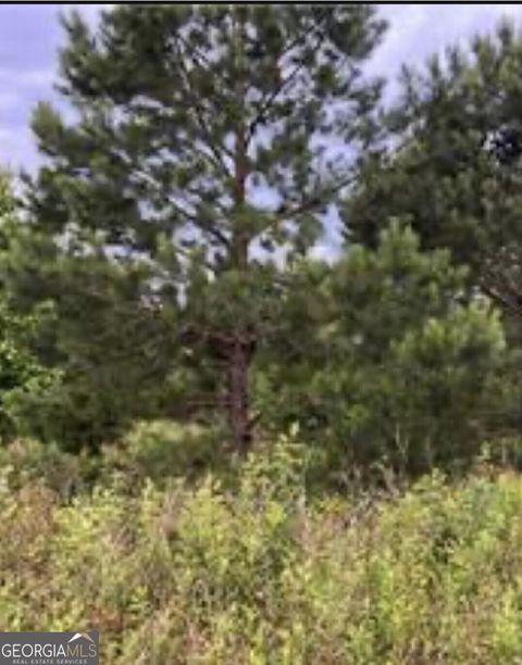  in Hawkinsville GA 0 Sandy Lane.jpg