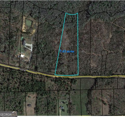  in Oglethorpe GA 0 Willow Creek.jpg