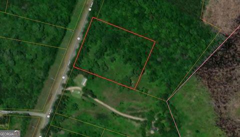  in Townsend GA 5 ACRES E S Highway 17.jpg