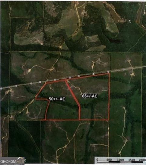 Unimproved Land in Butler GA 0 Hwy 80.jpg