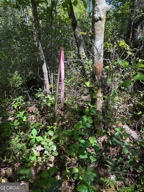 Unimproved Land in Springfield GA 0 Rincon Stillwell Road.jpg