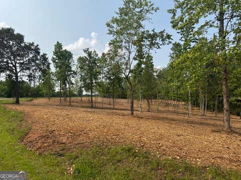  in Roopville GA LOT 2 Happy Hollow Road.jpg