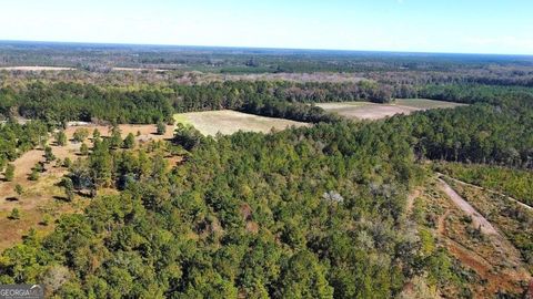  in Brooklet GA 99 Old Happy Lane #268 ACRES.jpg