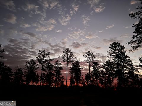 Unimproved Land in Elko GA 335 Highway 26.jpg