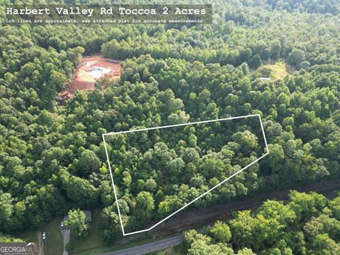  in Toccoa GA TRACT 2 Harbert Valley Road.jpg