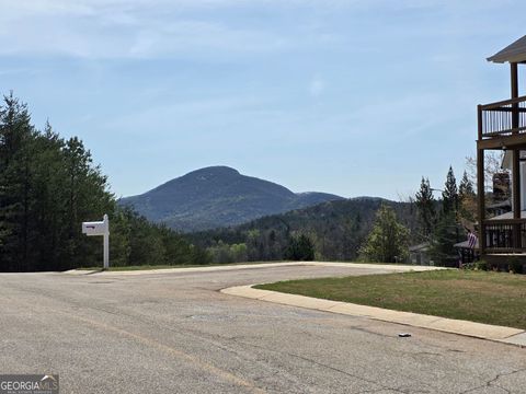  in Helen GA 0 Sportarten Strasse #LOT 97 & 98.jpg