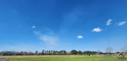 Agriculture in Cochran GA 406 Mac Thompson Road 16.jpg