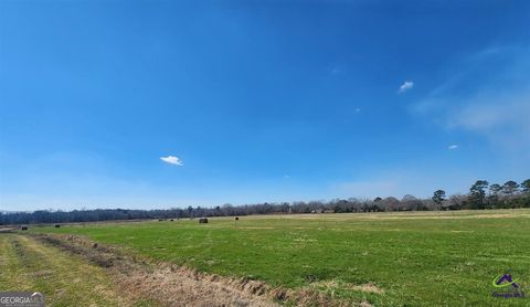 Agriculture in Cochran GA 406 Mac Thompson Road 18.jpg