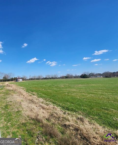 Agriculture in Cochran GA 406 Mac Thompson Road 13.jpg