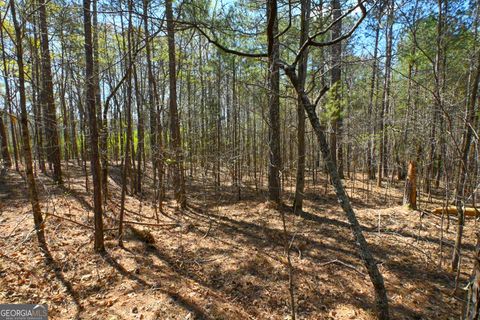 Unimproved Land in Monroe GA 0 Mill Ridge Drive 5.jpg