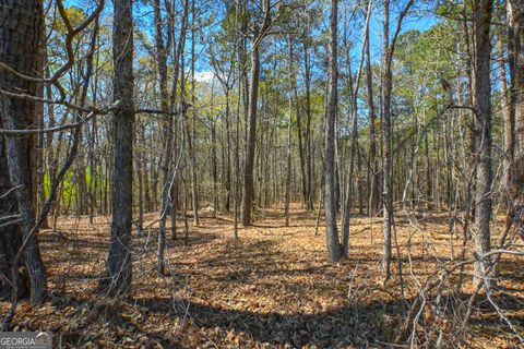 Unimproved Land in Monroe GA 0 Mill Ridge Drive 3.jpg