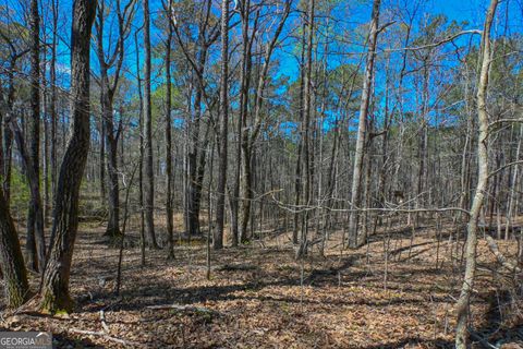 Unimproved Land in Monroe GA 0 Mill Ridge Drive 4.jpg