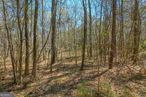 Unimproved Land in Monroe GA 0 Mill Ridge Drive 2.jpg