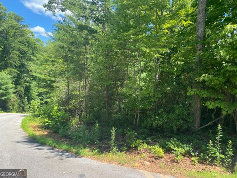  in Tiger GA 0 Arrendale Drive.jpg