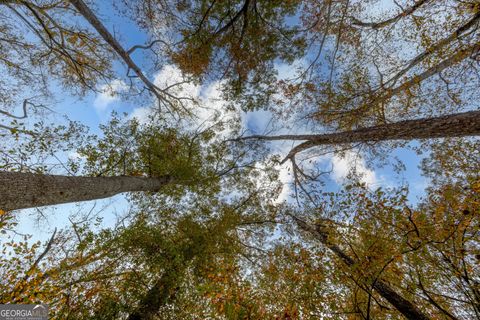  in Monroe GA 0 Bullock Bridge Road #TRACT 5 8.jpg