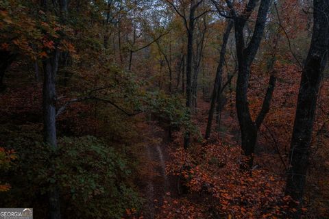  in Monroe GA 0 Bullock Bridge Road #TRACT 5.jpg