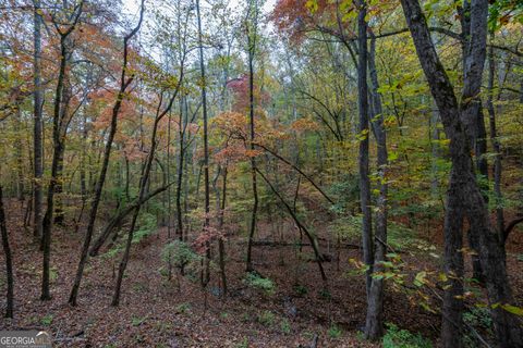  in Monroe GA 0 Bullock Bridge Road #TRACT 5 11.jpg