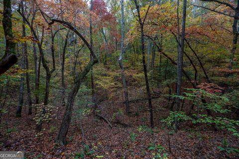  in Monroe GA 0 Bullock Bridge Road #TRACT 5 36.jpg