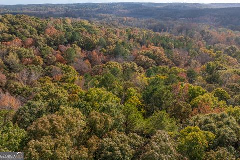  in Monroe GA 0 Bullock Bridge Road #TRACT 5 1.jpg