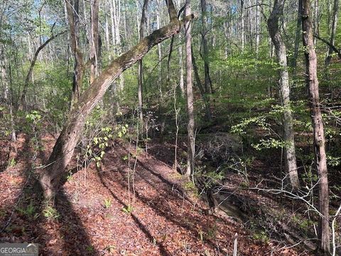  in Monroe GA 0 Bullock Bridge Road #TRACT 5 28.jpg