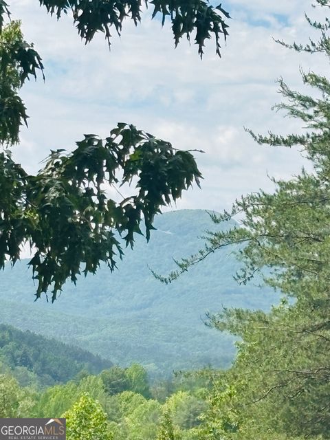  in Helen GA 0 Rosen Strasse ~ LOT 141.jpg