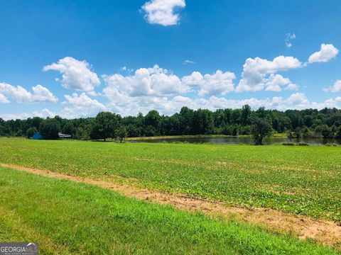 Agriculture in Montezuma GA 9198 Highway 224.jpg