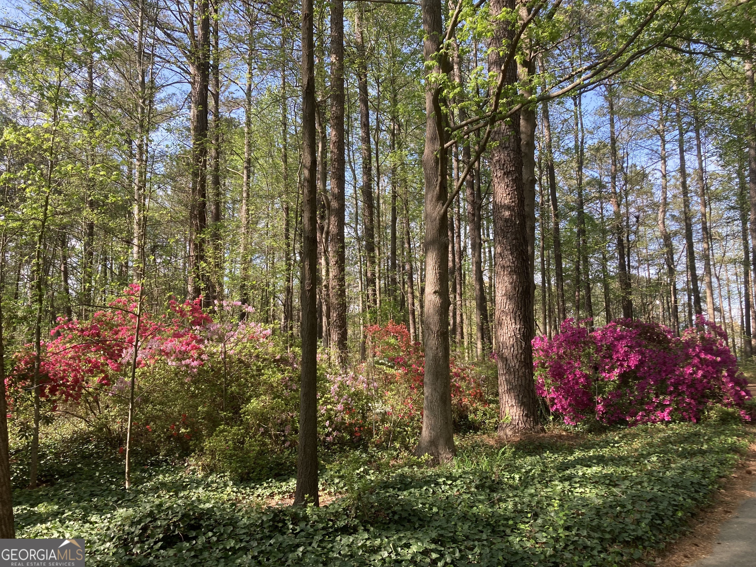 Single Family Residence in Monroe GA 4690 Bold Springs Road 76.jpg