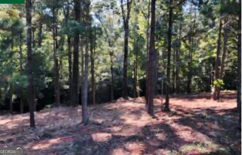 in Forsyth GA 122 Laurel Ridge.jpg