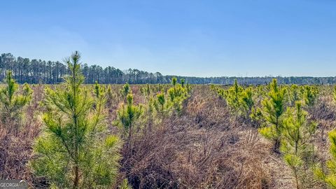 Unimproved Land in Statesboro GA 0 Highway 301 #3.jpg