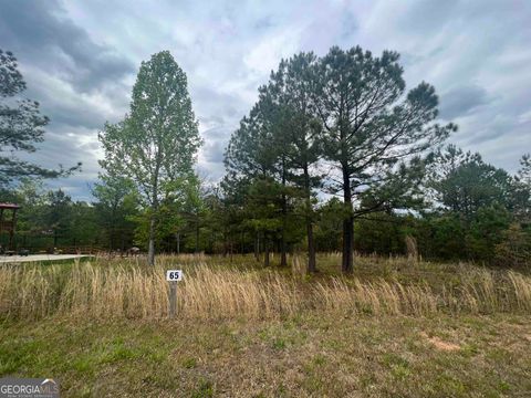  in Blairsville GA LOT 65 Village Loop.jpg