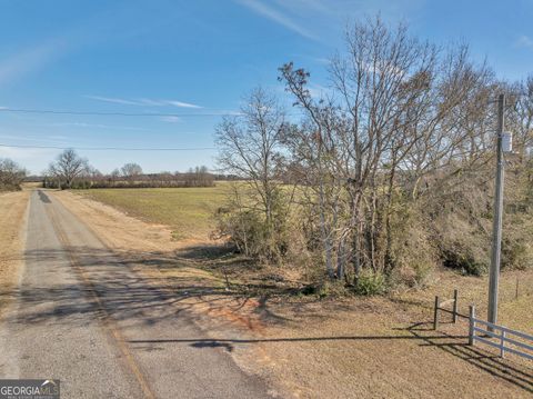 Agriculture in Elko GA 0 Williams Circle (North Track) 15.jpg