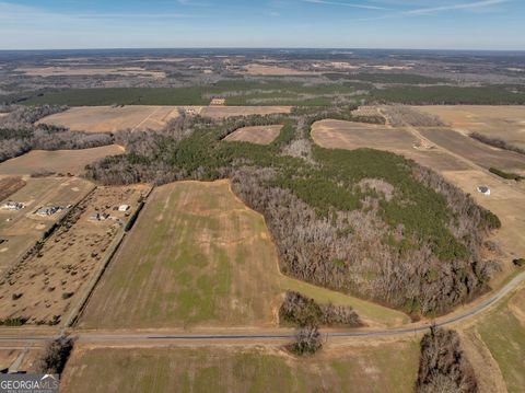 Agriculture in Elko GA 0 Williams Circle (North Track) 20.jpg