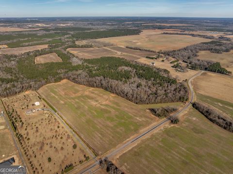 Agriculture in Elko GA 0 Williams Circle (North Track) 17.jpg