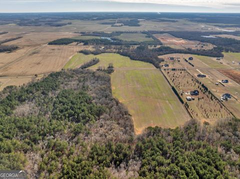 Agriculture in Elko GA 0 Williams Circle (North Track) 16.jpg