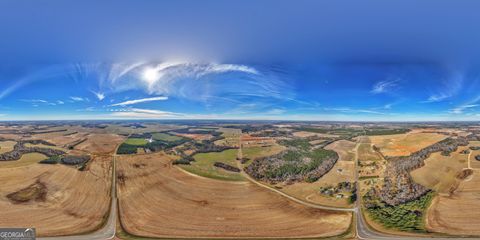 Agriculture in Elko GA 0 Williams Circle (North Track) 13.jpg