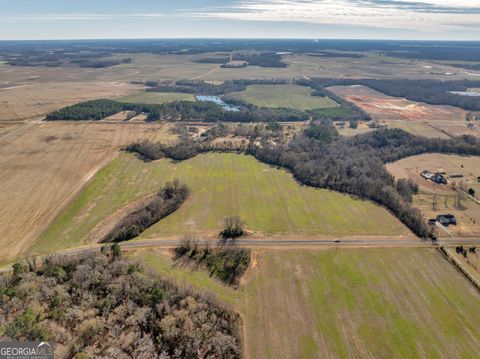 Agriculture in Elko GA 0 Williams Circle (North Track) 19.jpg
