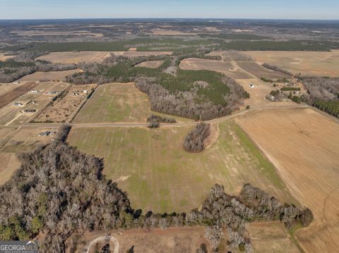 Agriculture in Elko GA 0 Williams Circle (North Track) 12.jpg