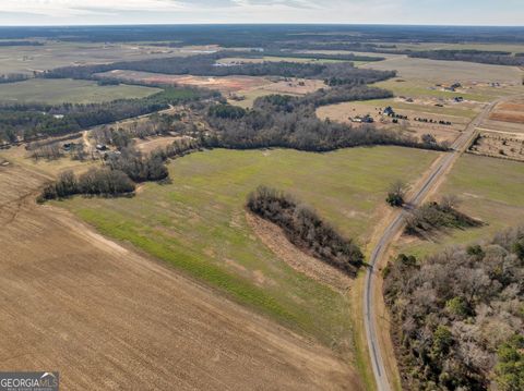 Agriculture in Elko GA 0 Williams Circle (North Track) 18.jpg