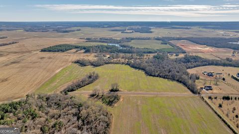 Agriculture in Elko GA 0 Williams Circle (North Track) 5.jpg