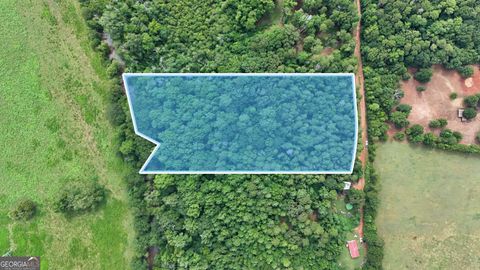 in Carnesville GA LOT #1 Morris Trail.jpg