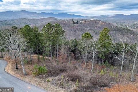  in Blairsville GA LOT 13 Thirteen Hundred #13.jpg