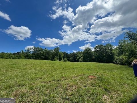Unimproved Land in Roopville GA 0 Highway 5.jpg