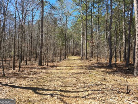 Unimproved Land in Zebulon GA 05 Bolton Road.jpg