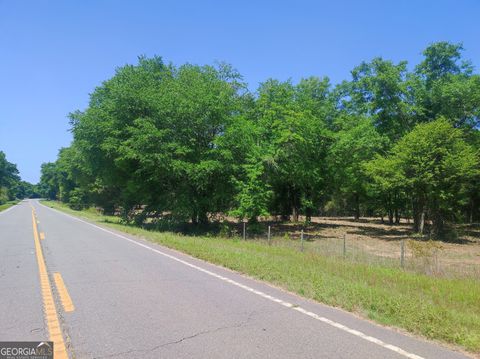 Unimproved Land in Oglethorpe GA 0 State Route 90.jpg