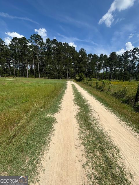  in Reynolds GA 0 Briar Patch Way.jpg