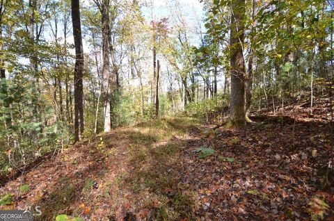  in Rabun Gap GA 0 Alto Lane.jpg