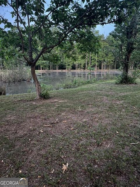 Unimproved Land in Danville GA 313 Creekside Rd. Rd 5.jpg